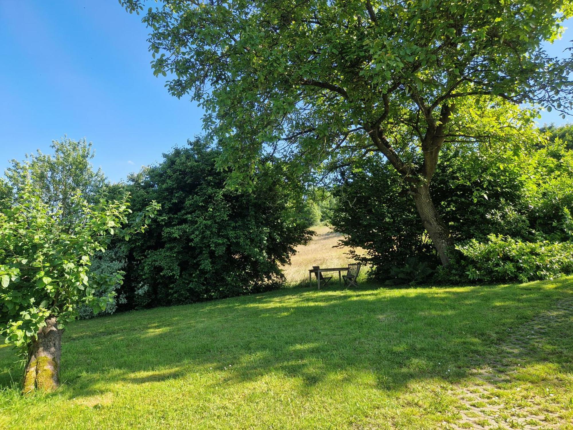 Ferienhaus Berghausen Am Hennesee Meschede Kültér fotó